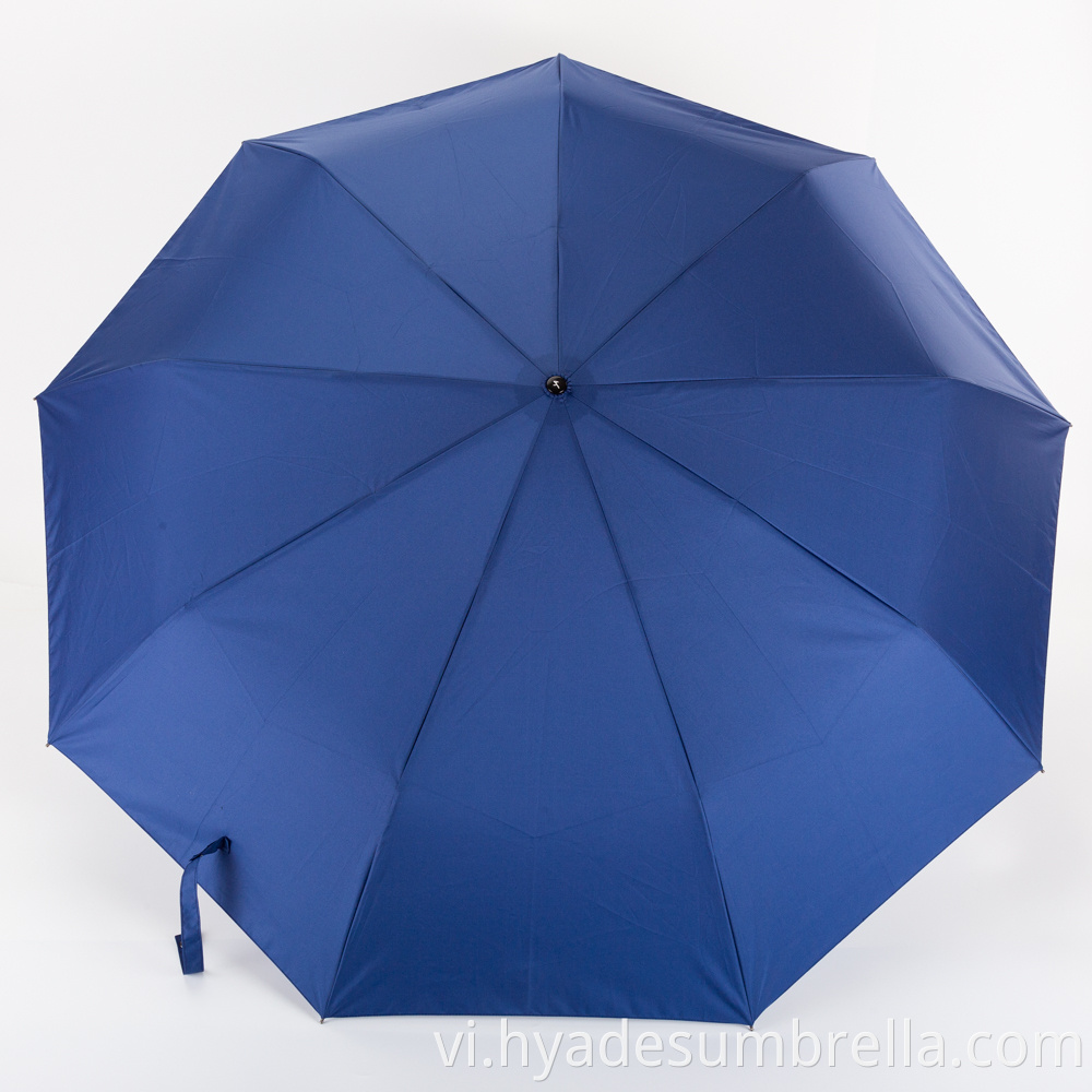 Best Auto Open Close Umbrella